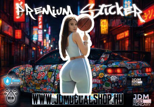 2163-stckr