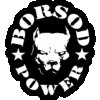 BORSOD POWER matrica - 20cm