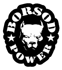 BORSOD POWER matrica - 20cm