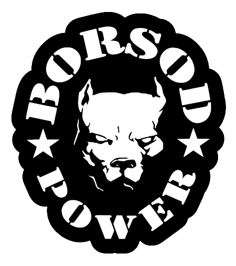 BORSOD POWER matrica - 20cm