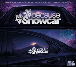 BECAUSE SNOWCAR