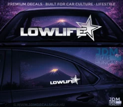 LOWLIFE STAR