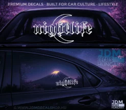 NIGHTLIFE_2