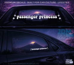 PASSENGER PRINCESS