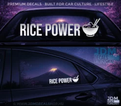 RICE POWER