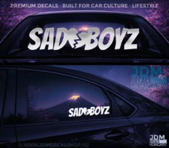 SAD BOYZ