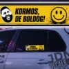 KORMOS DE BOLDOG