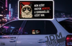 NEM AZERT VAGYOK MORCOS A SORBANALLAS AZERT VAN