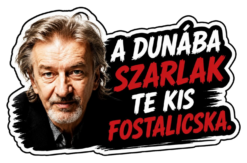 A Dunába Szaralak Te Kis Fostalicska