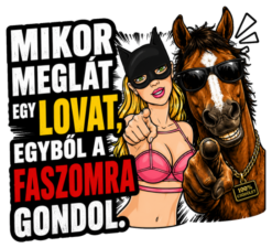 Mikor meglát egy lovat egyből a f_szomra gondol #1
