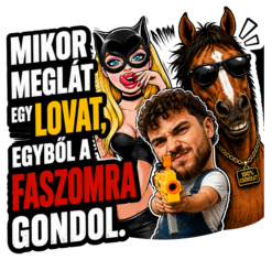 Mikor meglát egy lovat egyből a f_szomra gondol #2