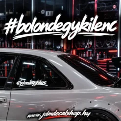 BOLONDEGYKILENC #2- RLD 2