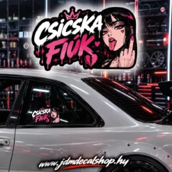 Csicska Fiúk - RLD 2