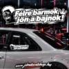 FÉLRE BARMOK JÖN A BAJNOK- RLD 2