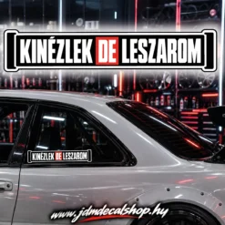 KINÉZLEK DE LESZAROM
