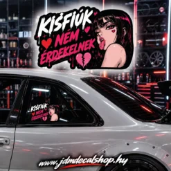 Kisfiúk Nem Érdekelnek - RLD 2