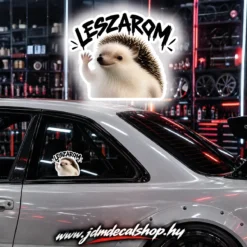 LESZAROM- RLD 2